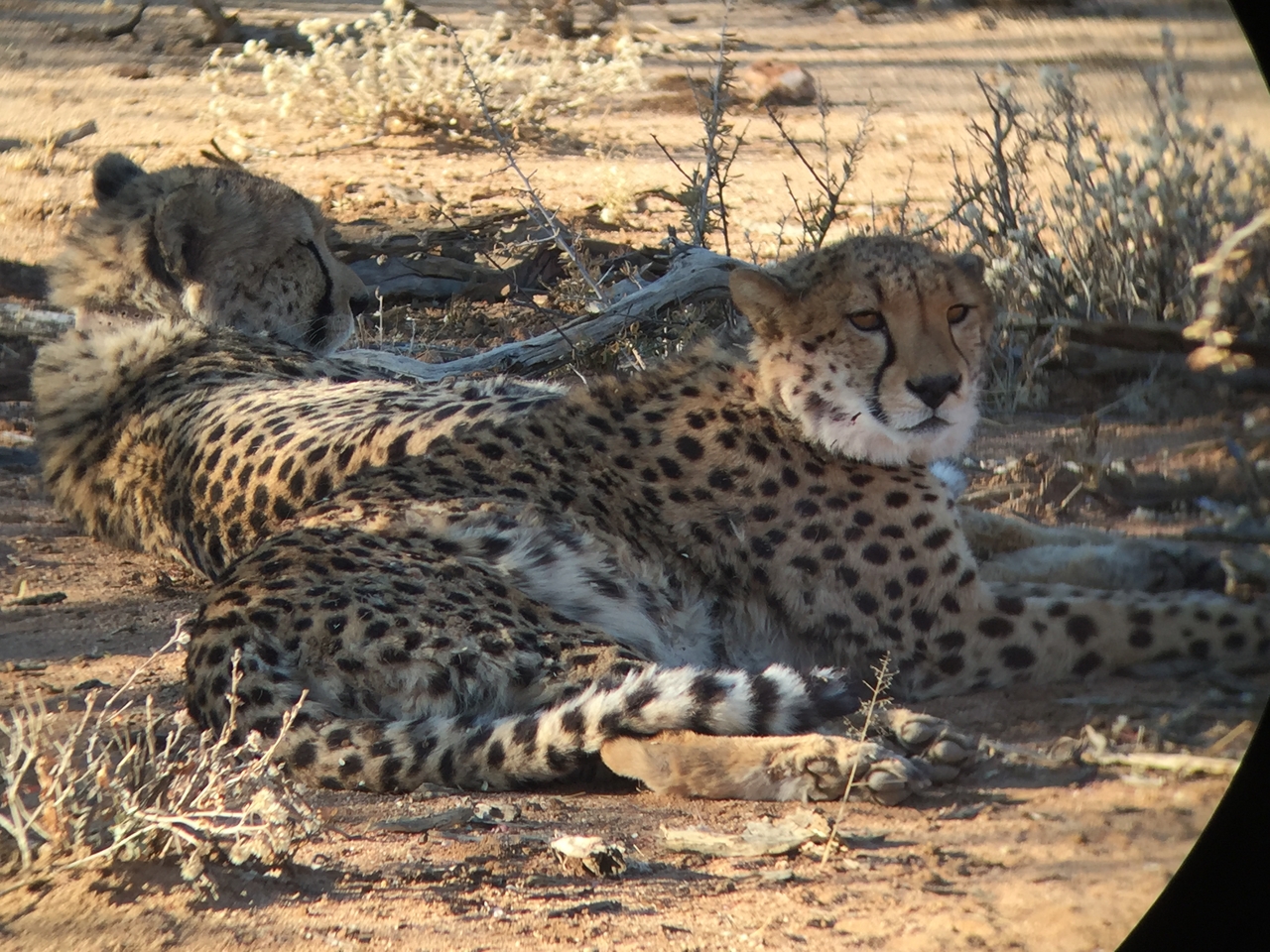 [2416] 2016_06_22_08_02_47_Africa_iPhone_6_IMG_7621_02555.jpg