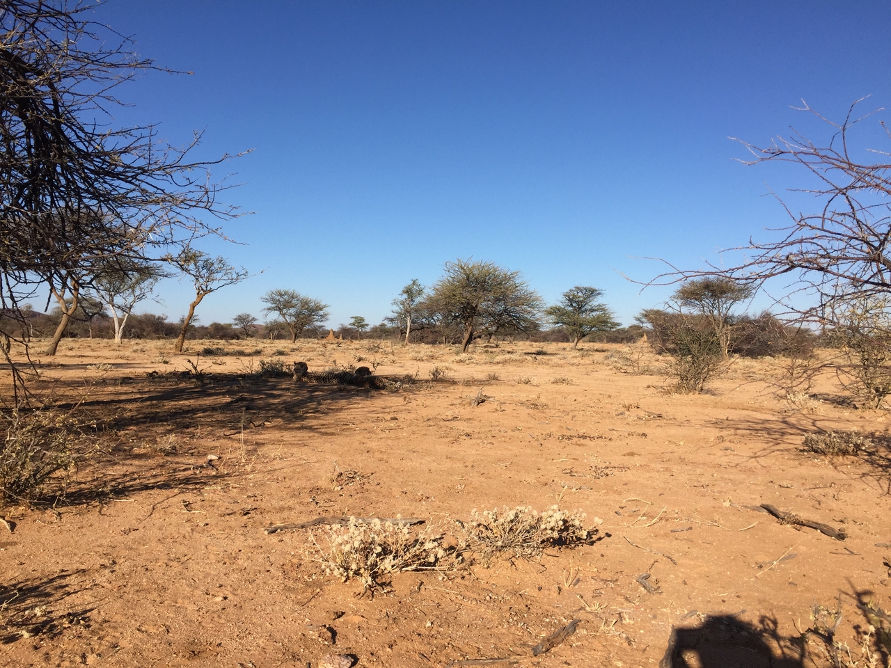 [2432] 2016_06_22_08_08_14_Africa_iPhone_6_IMG_7630_02563.jpg