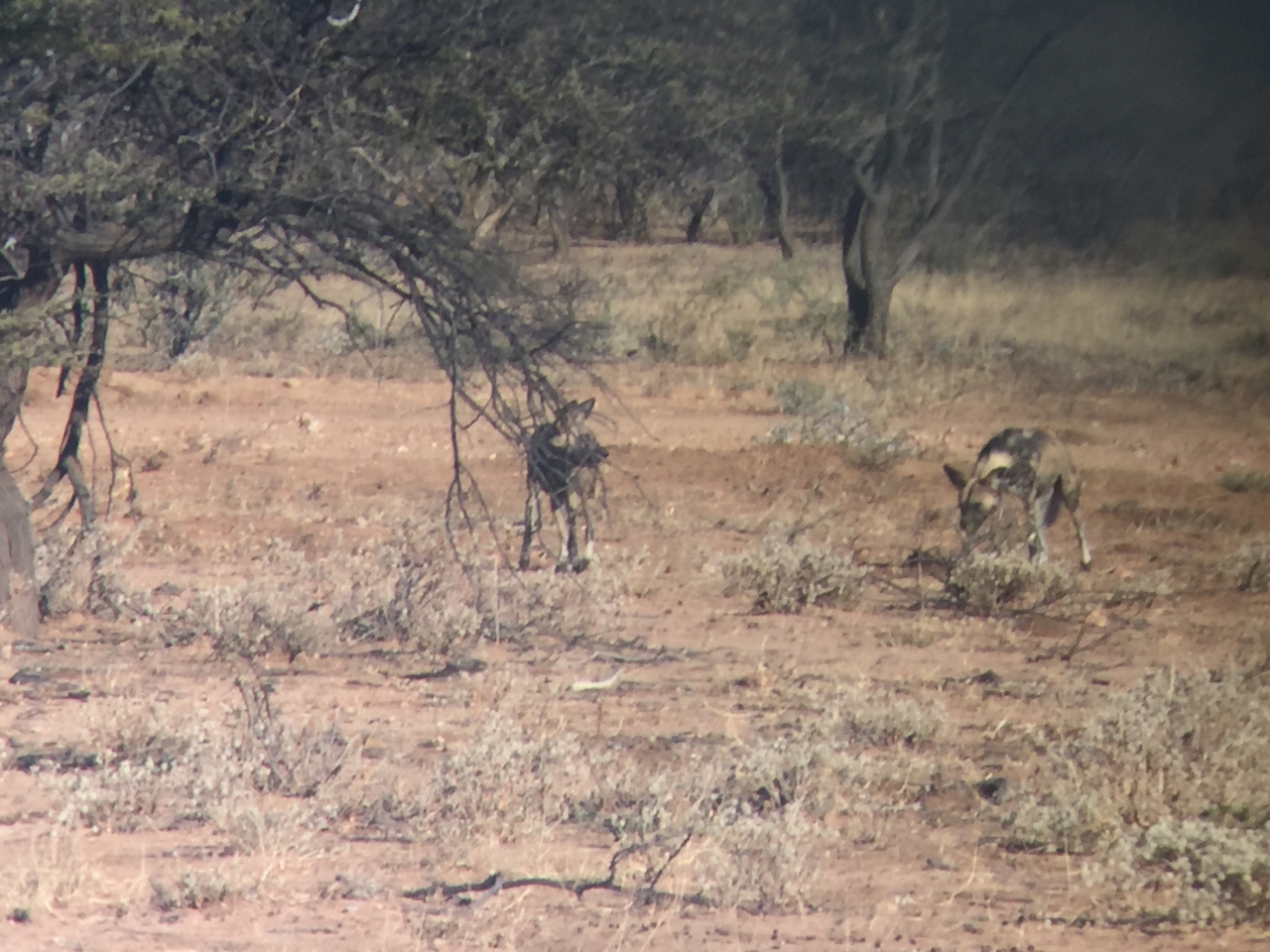 [2448] 2016_06_22_08_19_03_Africa_iPhone_6_IMG_7639_02571.jpg