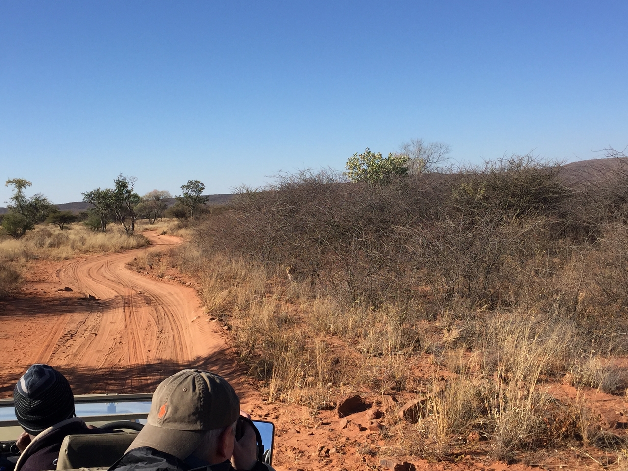 [2482] 2016_06_22_08_56_12_Africa_iPhone_6_IMG_7656_02588.jpg