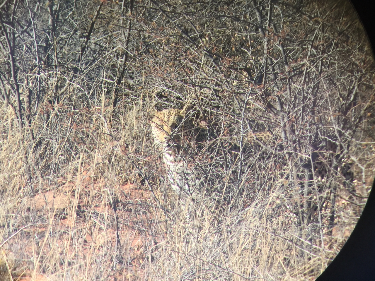 [2487] 2016_06_22_08_56_25_Africa_iPhone_6_IMG_7657_00248.jpg