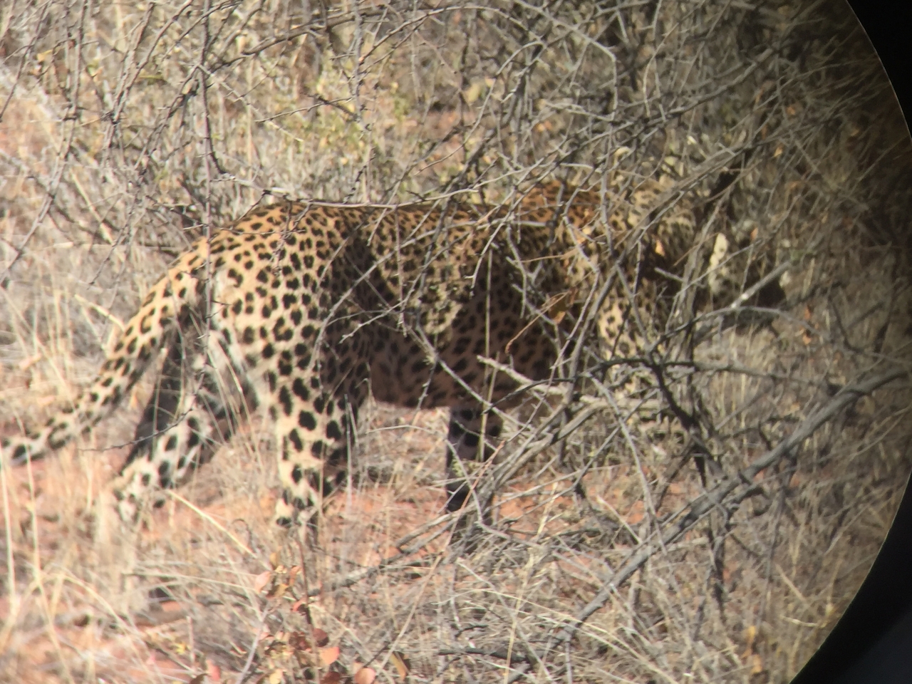 [2492] 2016_06_22_08_56_54_Africa_iPhone_6_IMG_7659_02591.jpg