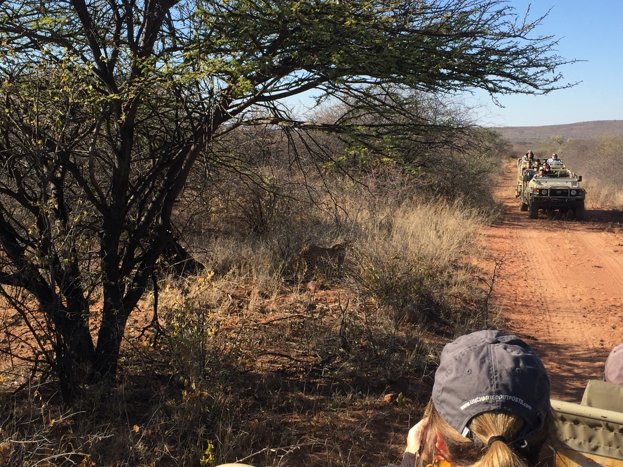 [2504] 2016_06_22_09_07_20_Africa_iPhone_6_IMG_7663_02595.jpg