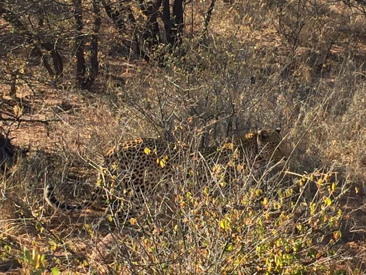 [2505] 2016_06_22_09_07_25_Africa_iPhone_6_IMG_7664_00255.jpg