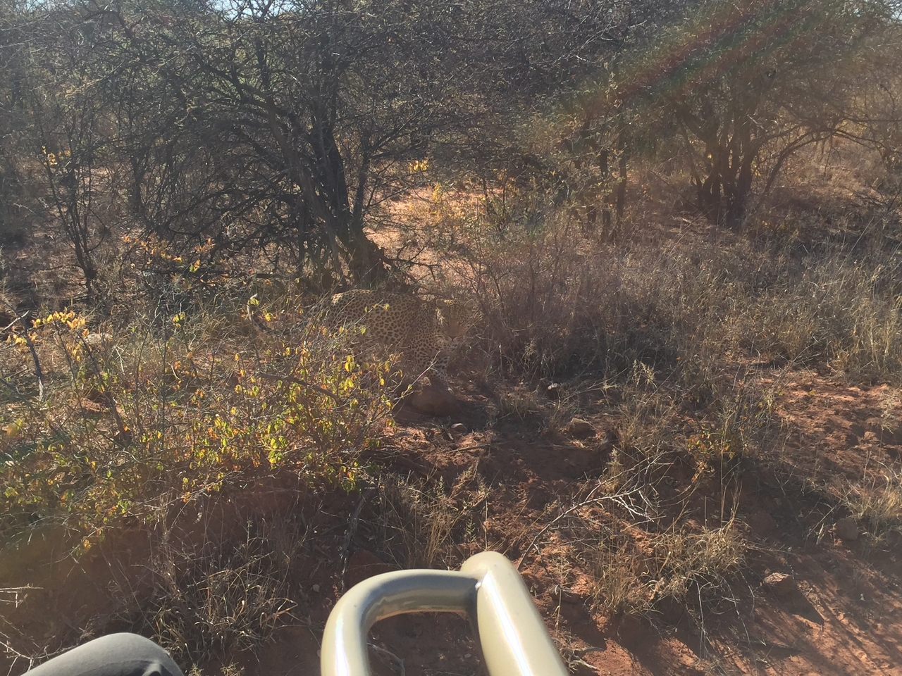 [2511] 2016_06_22_09_07_33_Africa_iPhone_6_IMG_7667_00258.jpg