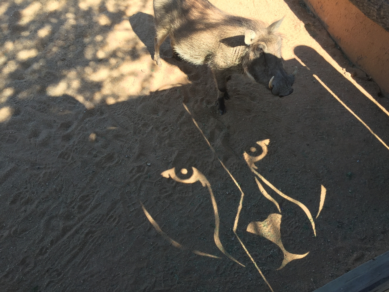 [2564] 2016_06_22_10_56_48_Africa_iPhone_6_IMG_7687_00278.jpg