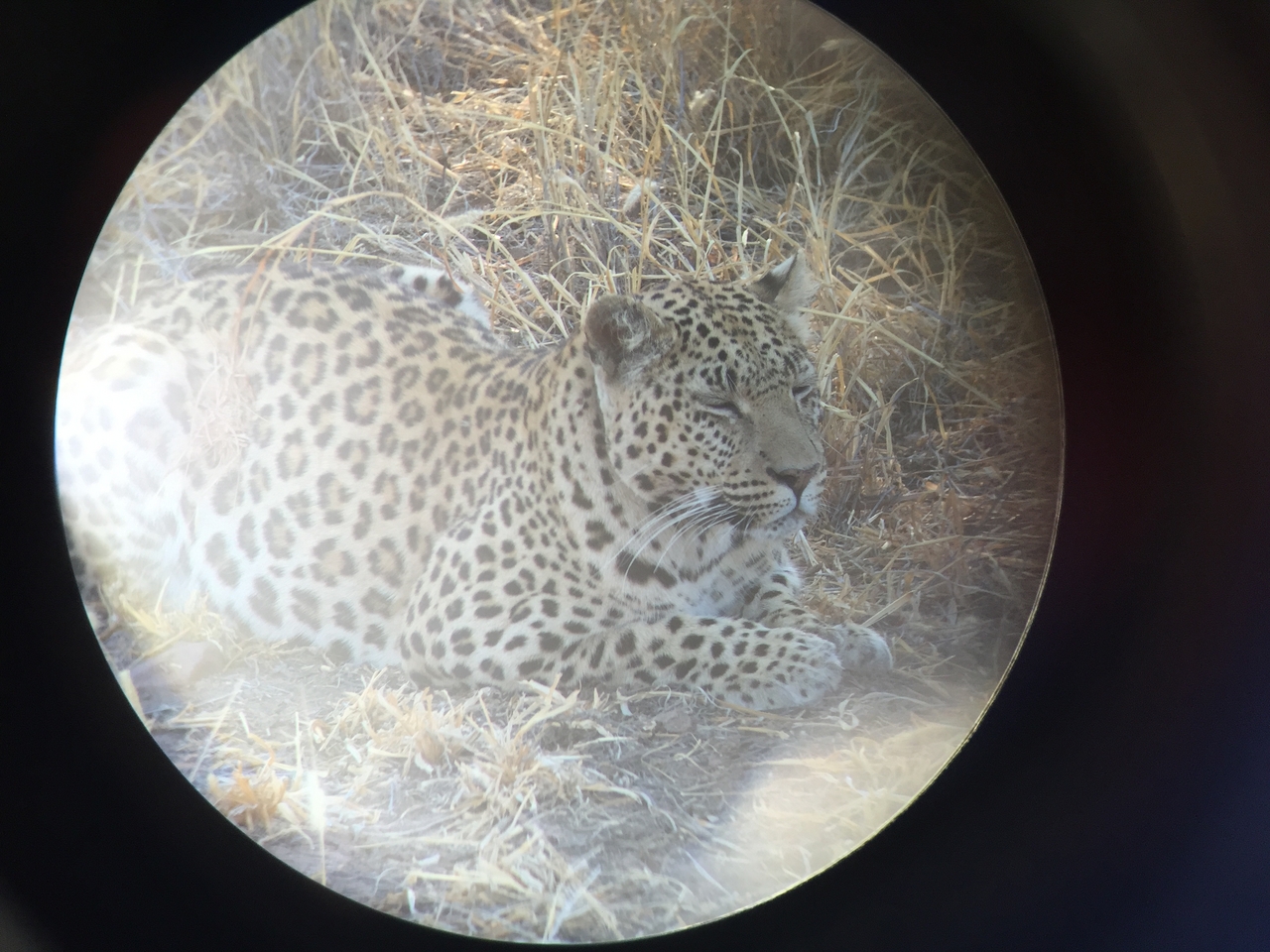 [3571] 2016_06_22_15_59_04_Africa_iPhone_6_IMG_7701_02632.jpg