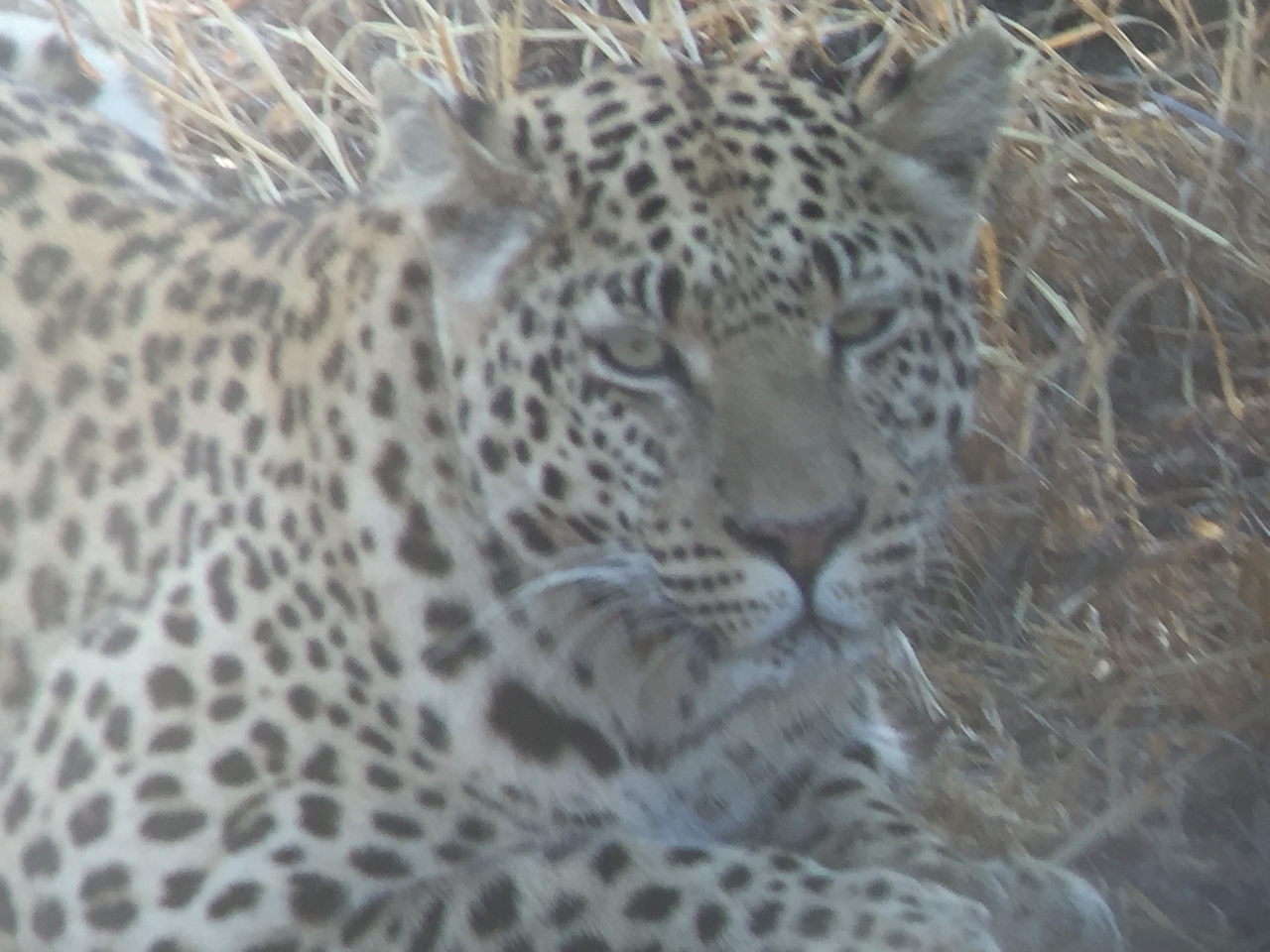 [3575] 2016_06_22_15_59_28_Africa_iPhone_6_IMG_7702_02633.jpg