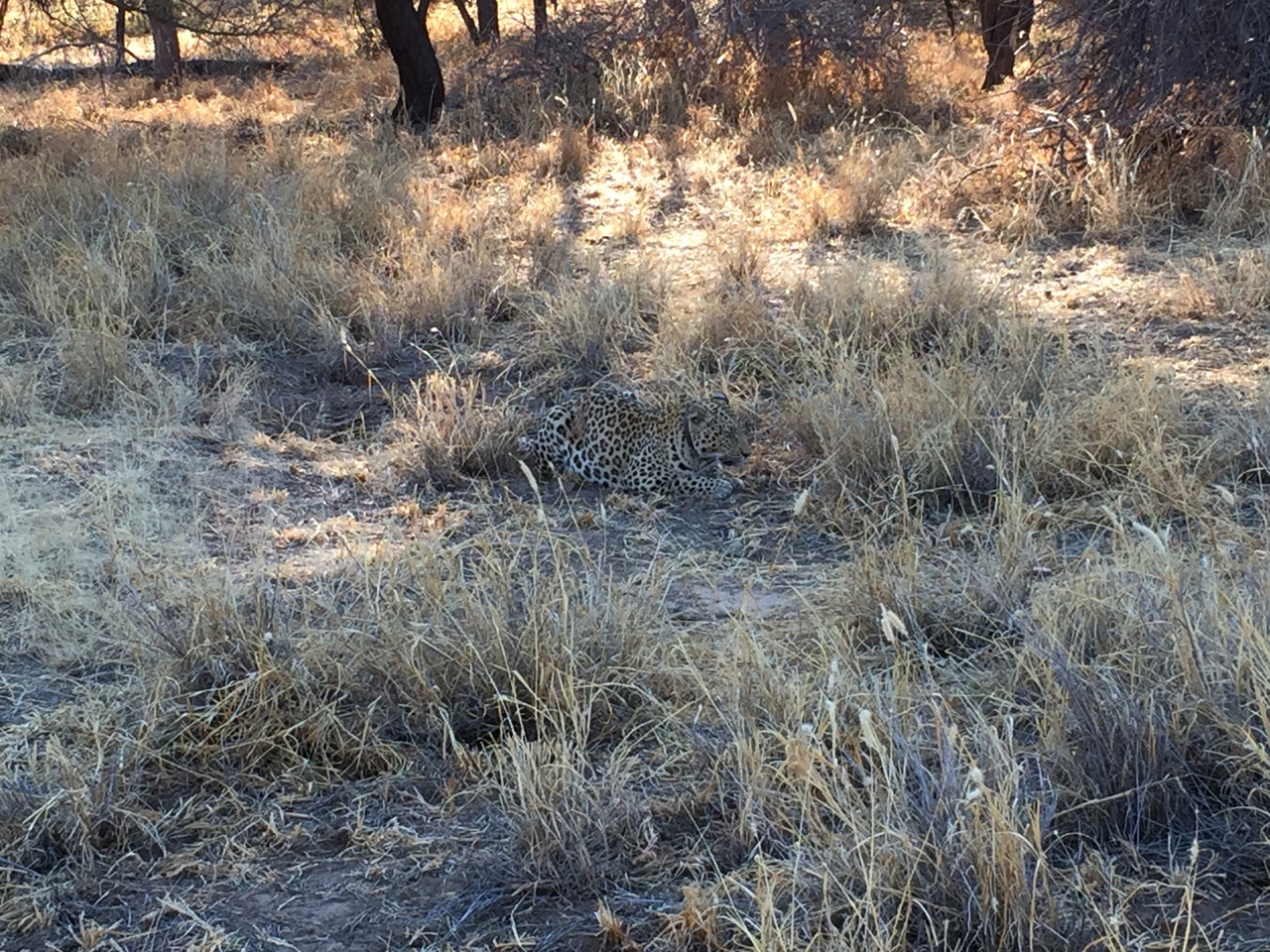 [3578] 2016_06_22_16_00_49_Africa_iPhone_6_IMG_7704_00294.jpg