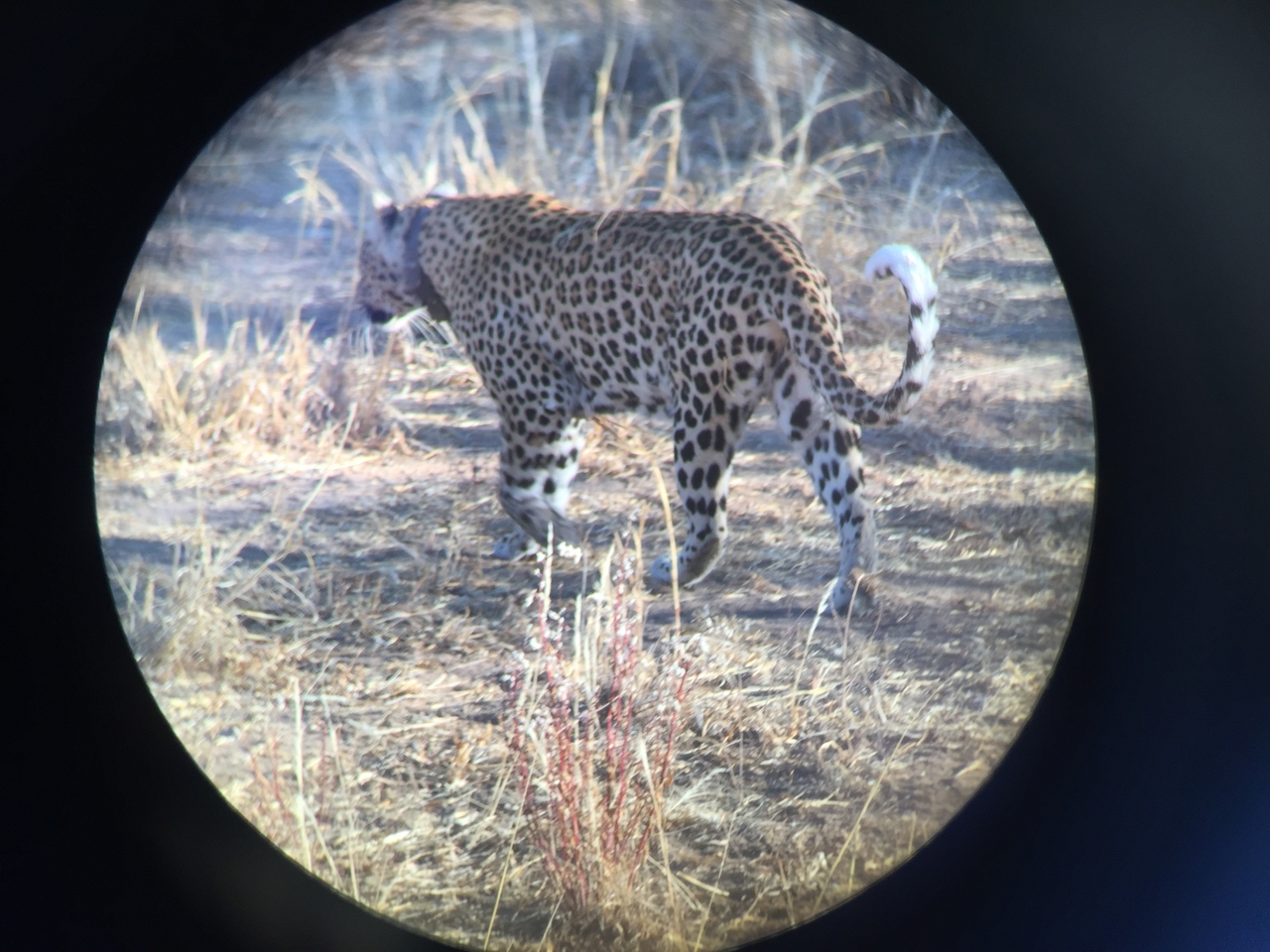 [3580] 2016_06_22_16_03_38_Africa_iPhone_6_IMG_7705_00295.jpg