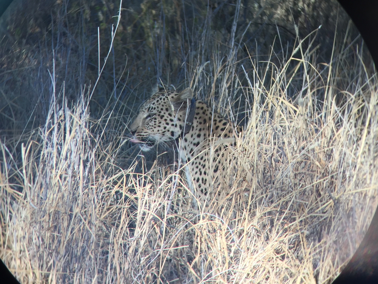 [3584] 2016_06_22_16_08_12_Africa_iPhone_6_IMG_7707_00297.jpg