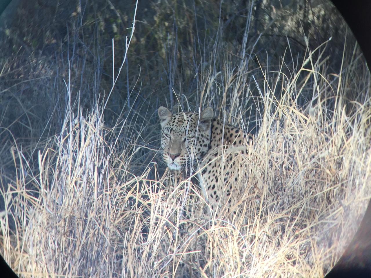 [3587] 2016_06_22_16_08_13_Africa_iPhone_6_IMG_7708_02639.jpg