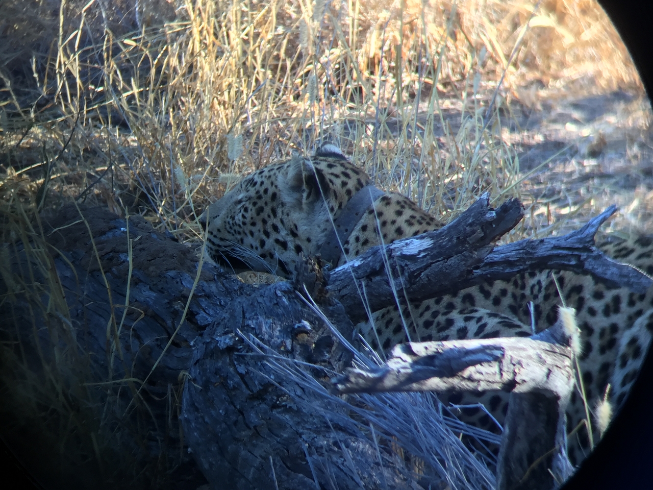 [3591] 2016_06_22_16_18_18_Africa_iPhone_6_IMG_7710_02641.jpg