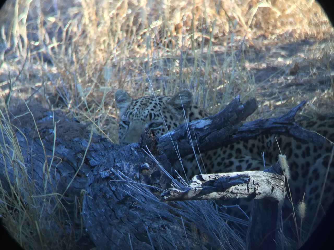 [3593] 2016_06_22_16_18_25_Africa_iPhone_6_IMG_7711_02642.jpg