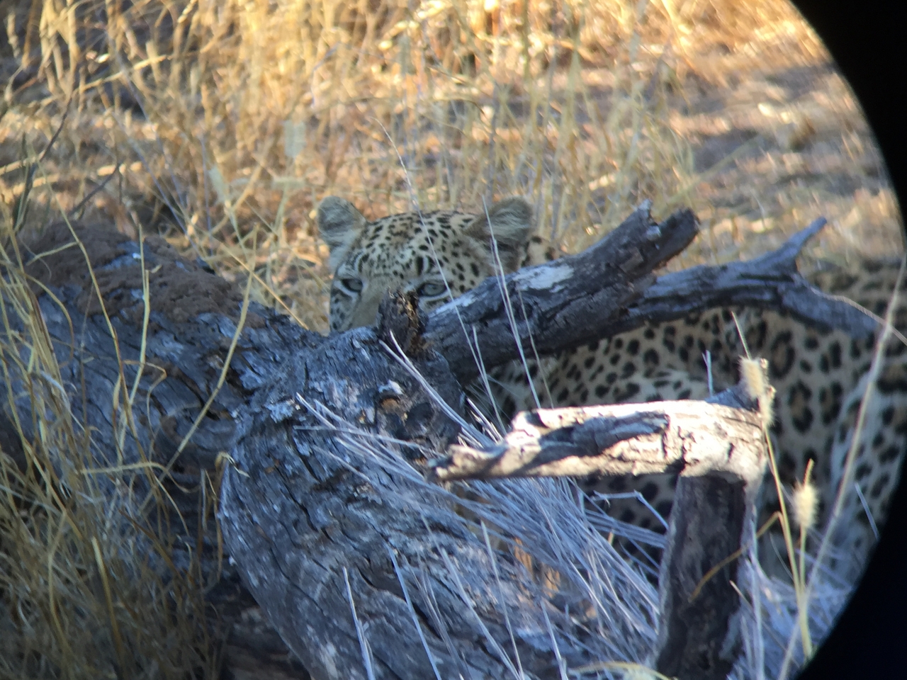 [3597] 2016_06_22_16_18_43_Africa_iPhone_6_IMG_7713_02644.jpg