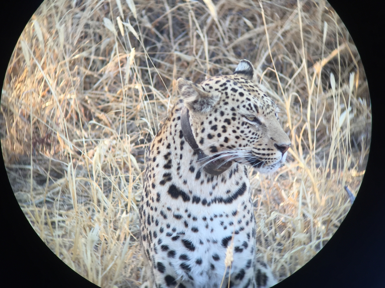 [3613] 2016_06_22_16_23_09_Africa_iPhone_6_IMG_7721_02652.jpg