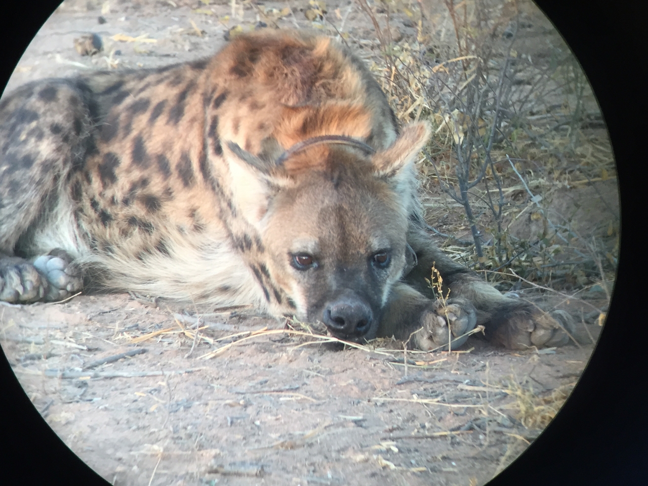 [3671] 2016_06_22_17_09_09_Africa_iPhone_6_IMG_7740_02671.jpg