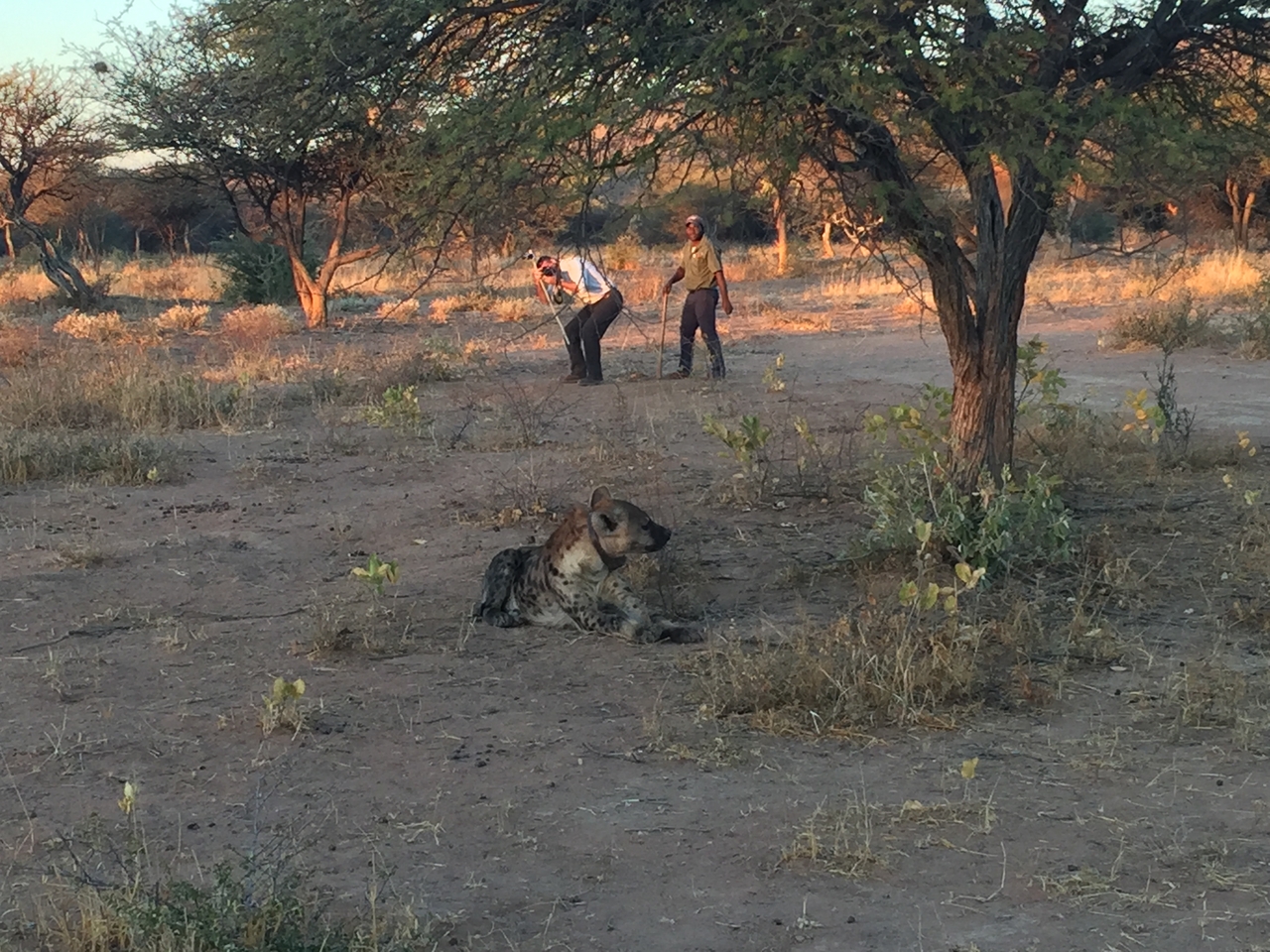 [3674] 2016_06_22_17_10_19_Africa_iPhone_6_IMG_7742_00332.jpg