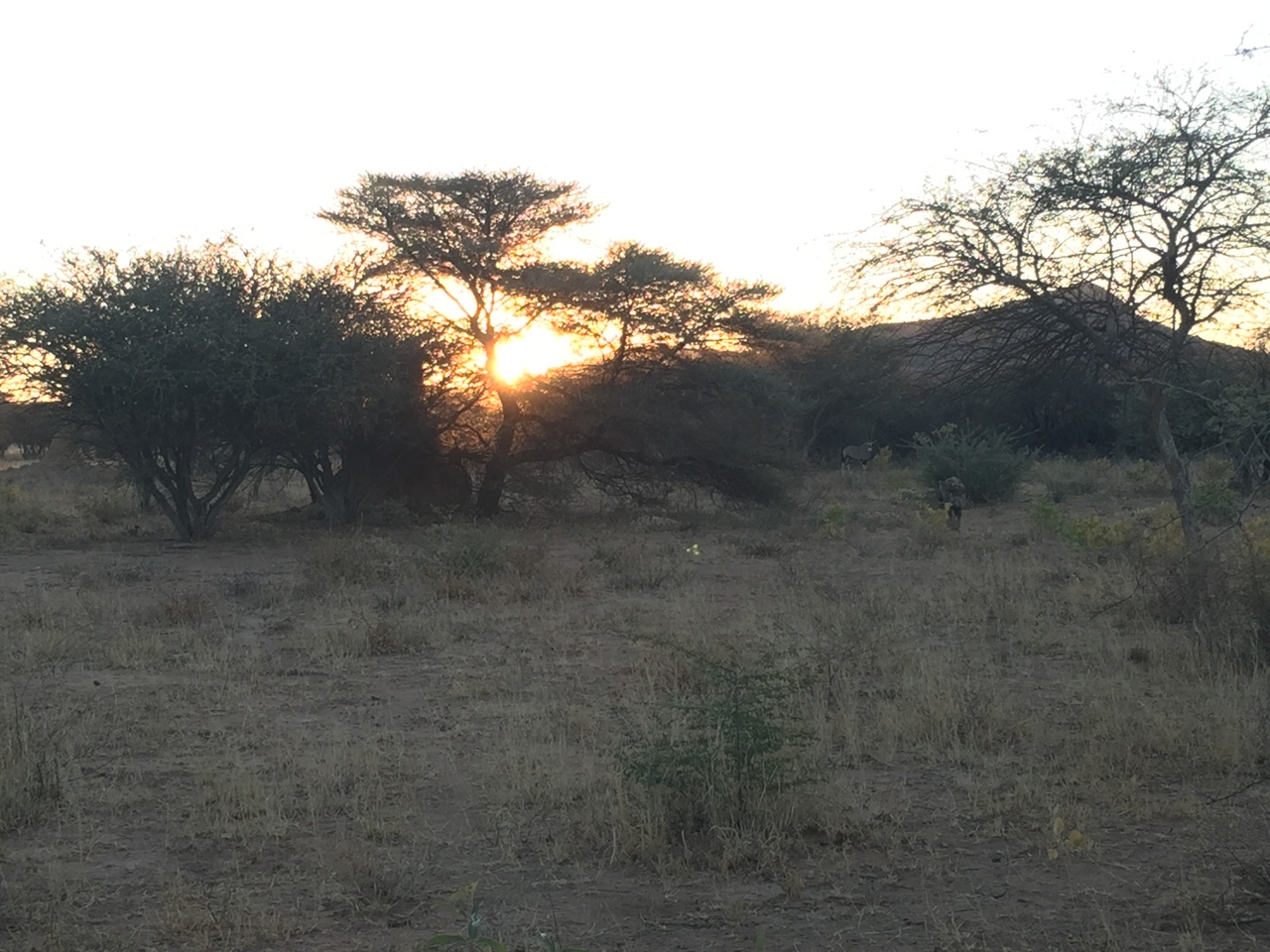 [3682] 2016_06_22_17_12_44_Africa_iPhone_6_IMG_7743_00333.jpg