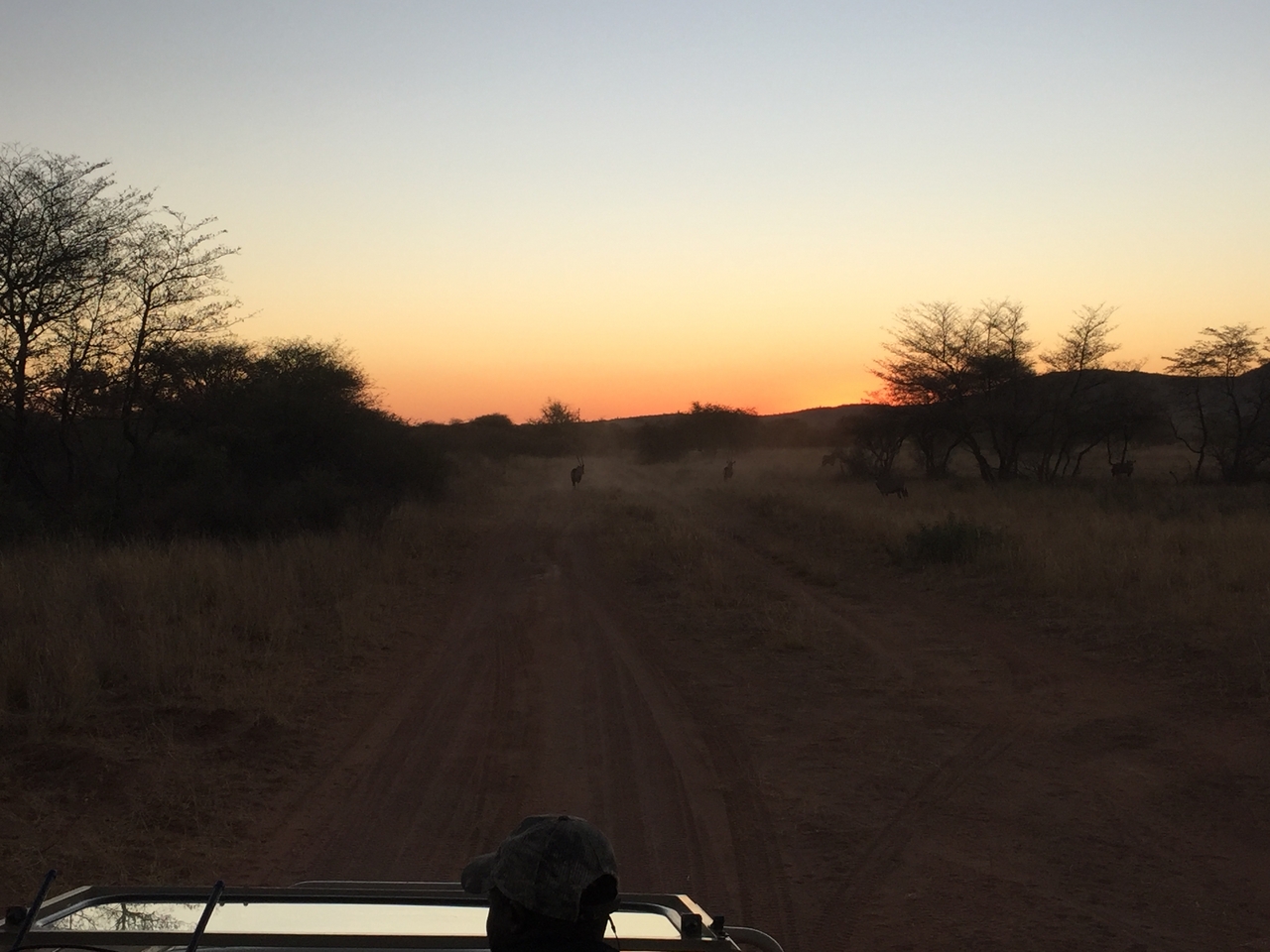 [3694] 2016_06_22_17_24_03_Africa_iPhone_6_IMG_7745_00335.jpg
