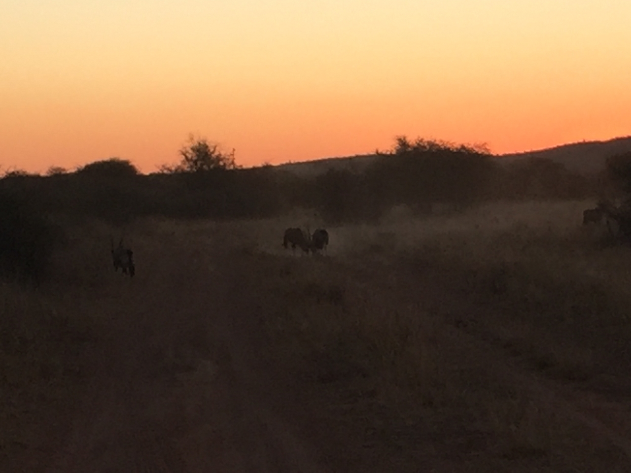 [3700] 2016_06_22_17_24_32_Africa_iPhone_6_IMG_7747_00337.jpg