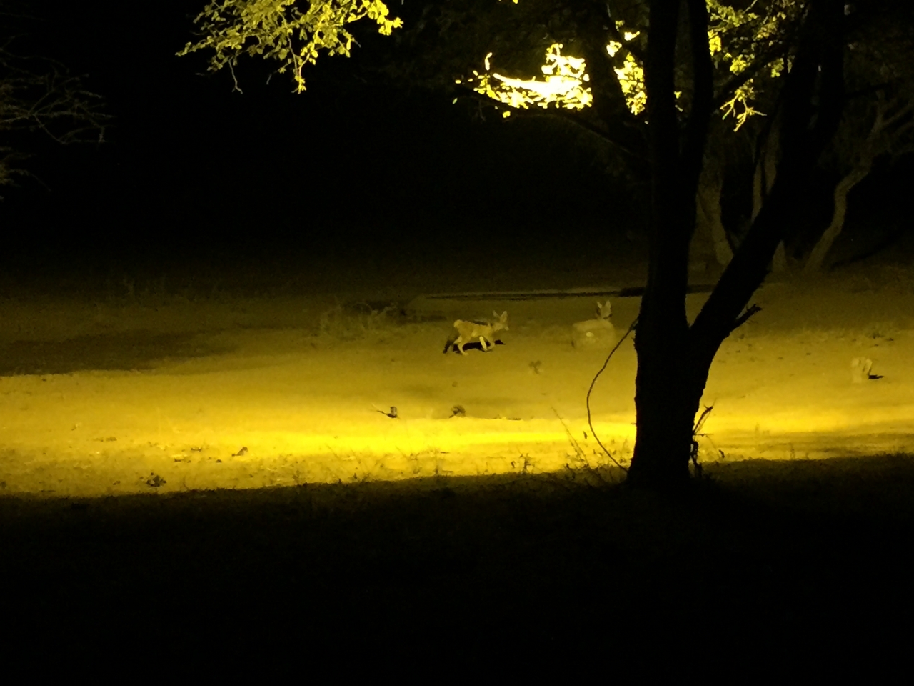 [3818] 2016_06_22_20_44_59_Africa_iPhone_6_IMG_7750_00340.jpg