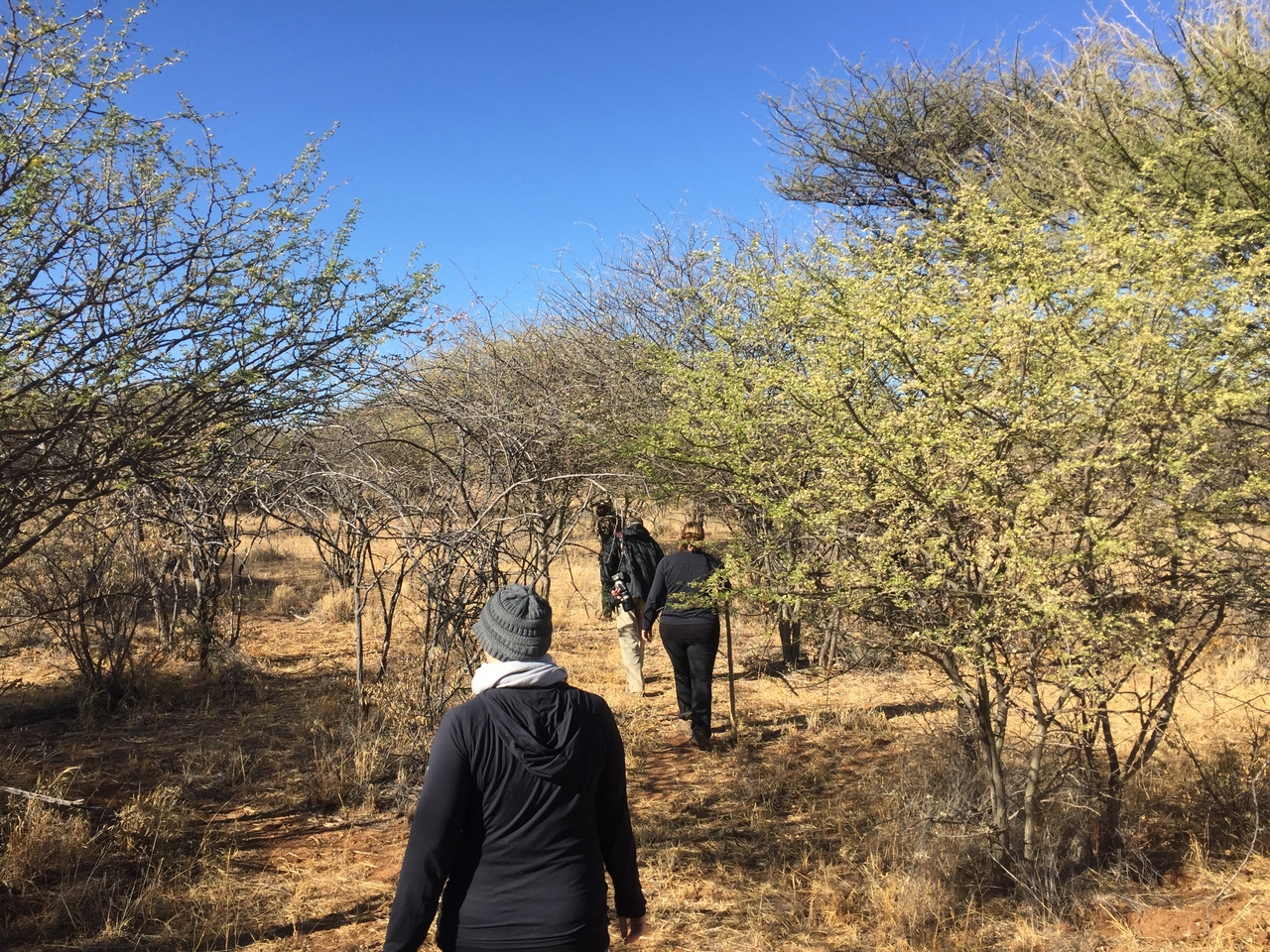 [5271] 2016_06_23_09_04_18_Africa_iPhone_6_IMG_7760_02688.jpg