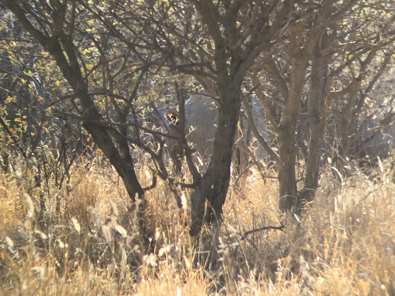 [5279] 2016_06_23_09_17_36_Africa_iPhone_6_IMG_7764_02692.jpg