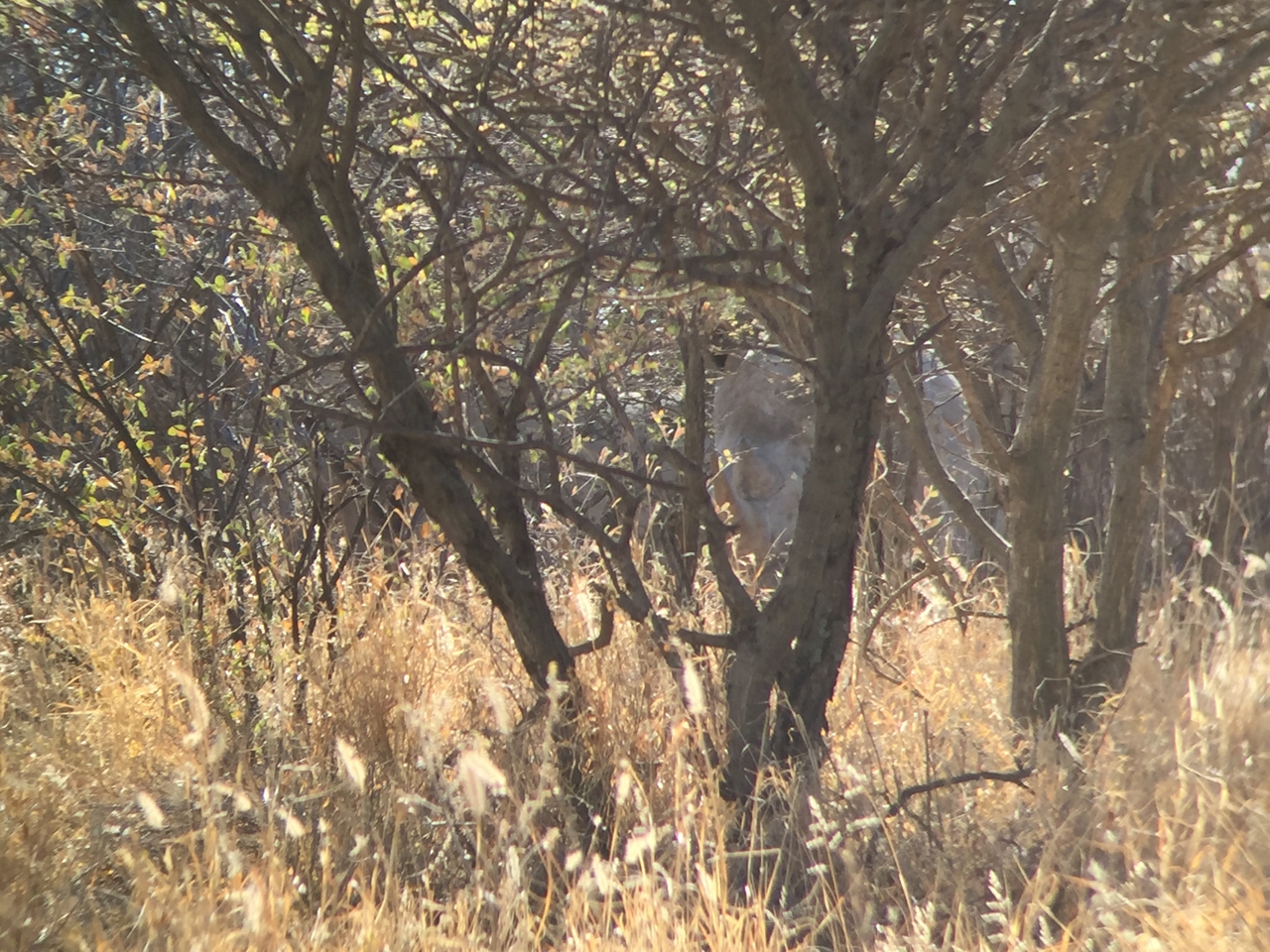 [5281] 2016_06_23_09_17_38_Africa_iPhone_6_IMG_7765_02693.jpg