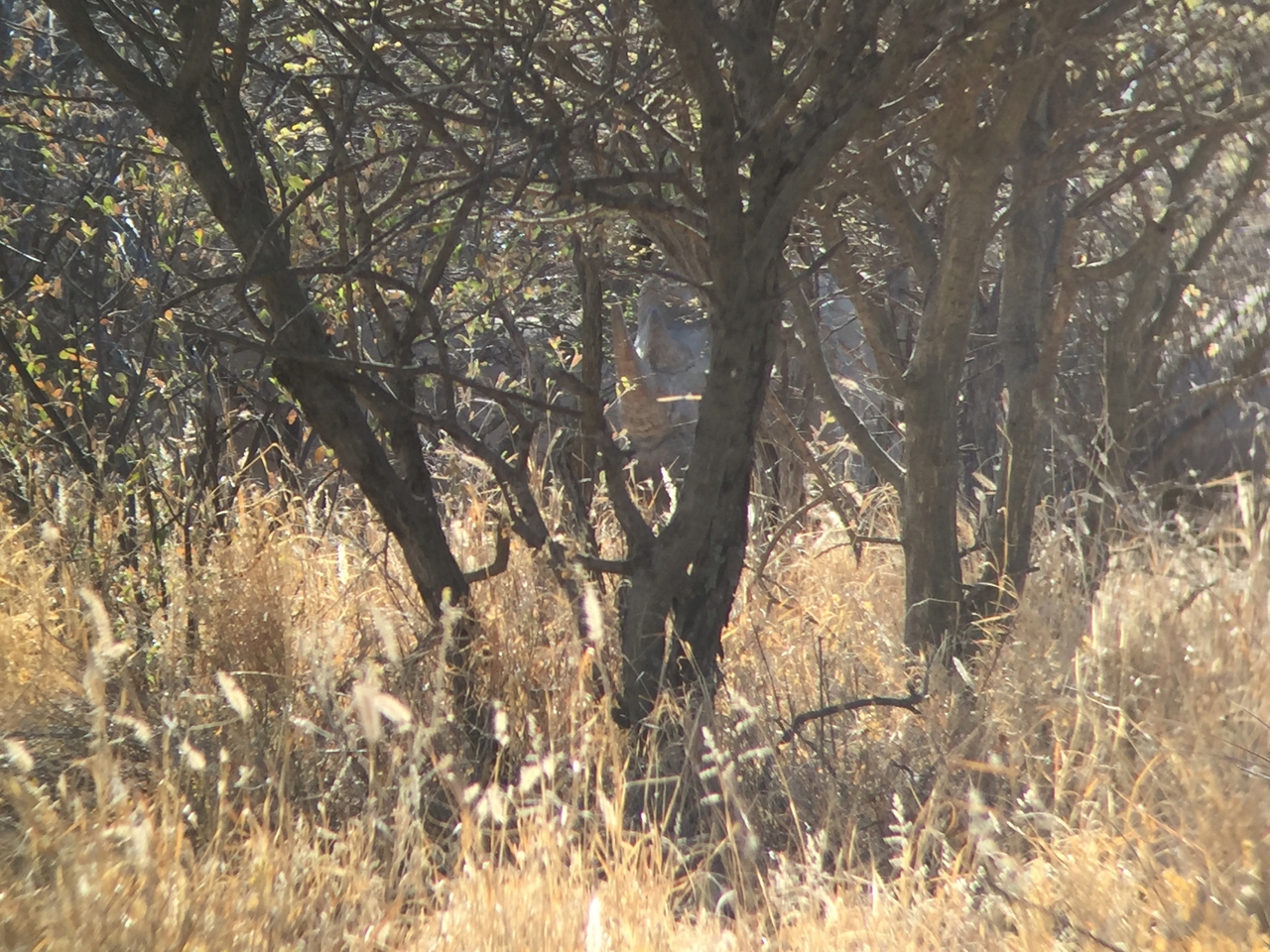 [5285] 2016_06_23_09_17_42_Africa_iPhone_6_IMG_7767_02695.jpg