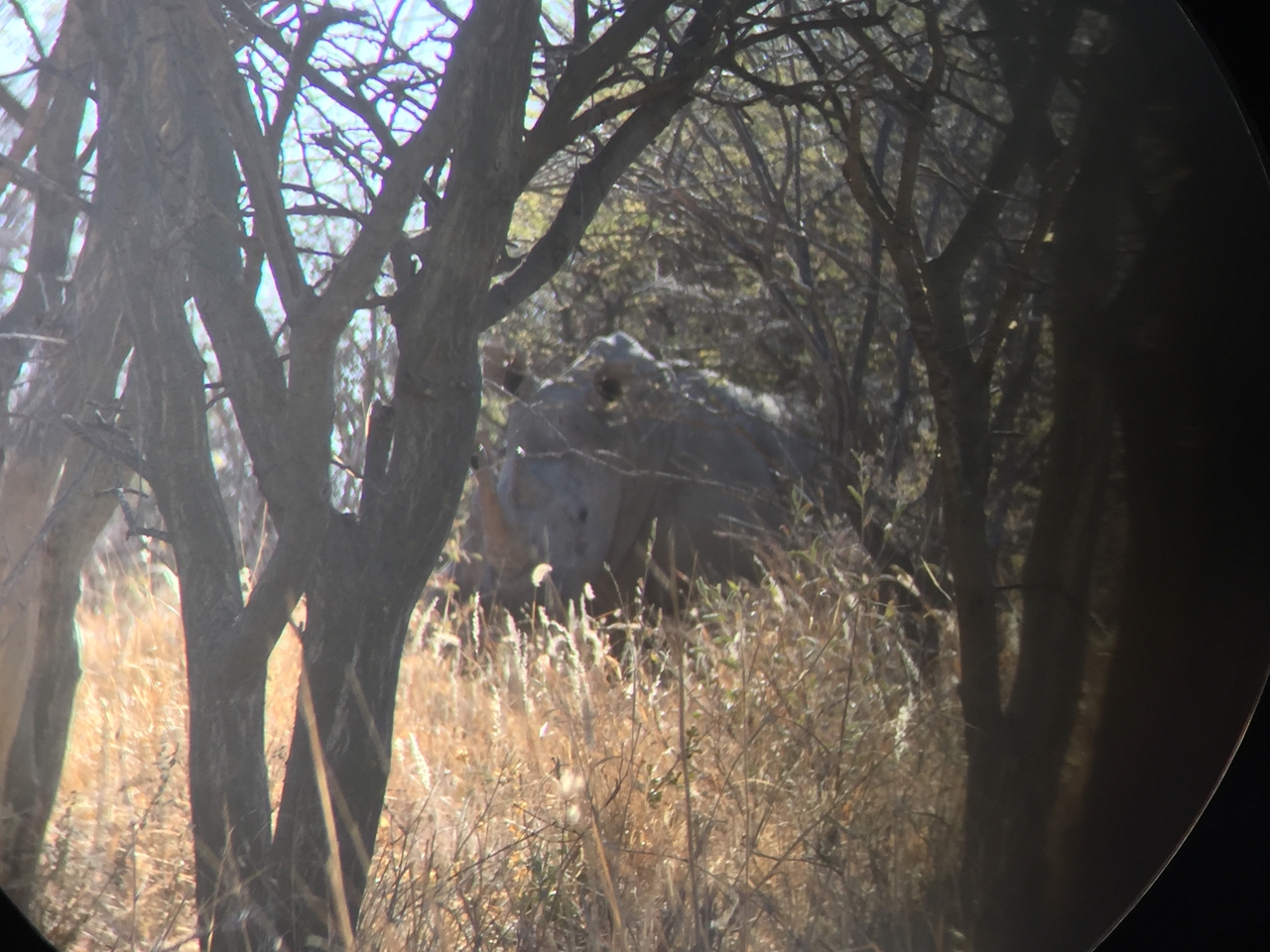 [5291] 2016_06_23_09_18_55_Africa_iPhone_6_IMG_7769_02697.jpg