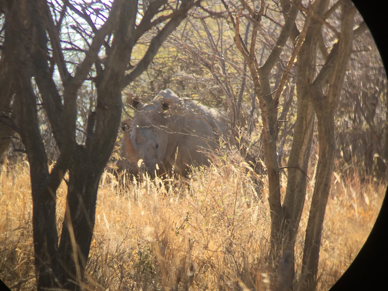 [5292] 2016_06_23_09_18_57_Africa_iPhone_6_IMG_7770_00357.jpg