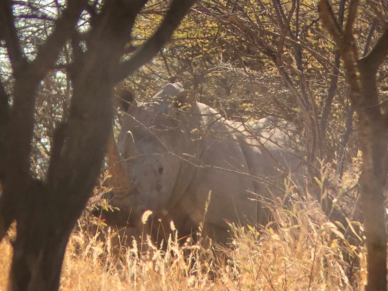 [5294] 2016_06_23_09_19_05_Africa_iPhone_6_IMG_7771_00358.jpg