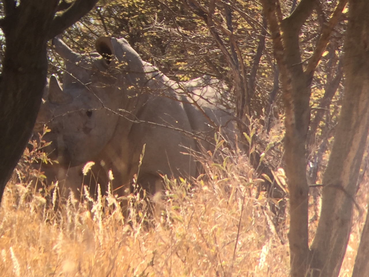 [5298] 2016_06_23_09_19_08_Africa_iPhone_6_IMG_7773_00360.jpg