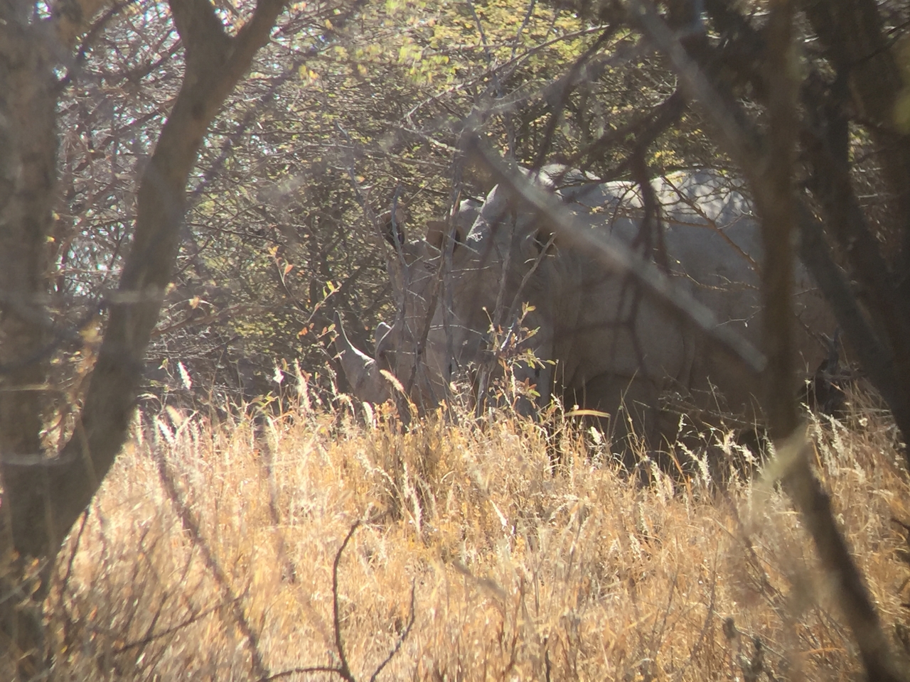 [5303] 2016_06_23_09_19_42_Africa_iPhone_6_IMG_7775_02703.jpg