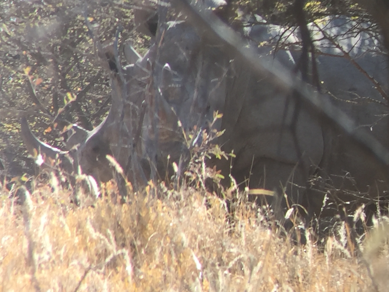 [5306] 2016_06_23_09_19_48_Africa_iPhone_6_IMG_7776_00363.jpg