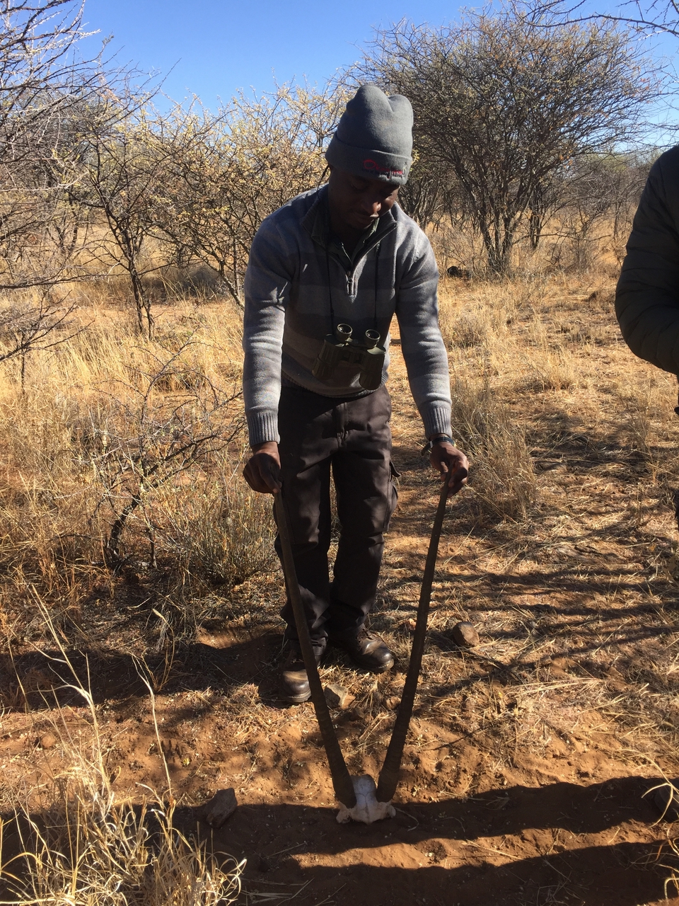 [5309] 2016_06_23_09_22_27_Africa_iPhone_6_IMG_7777_02705.jpg