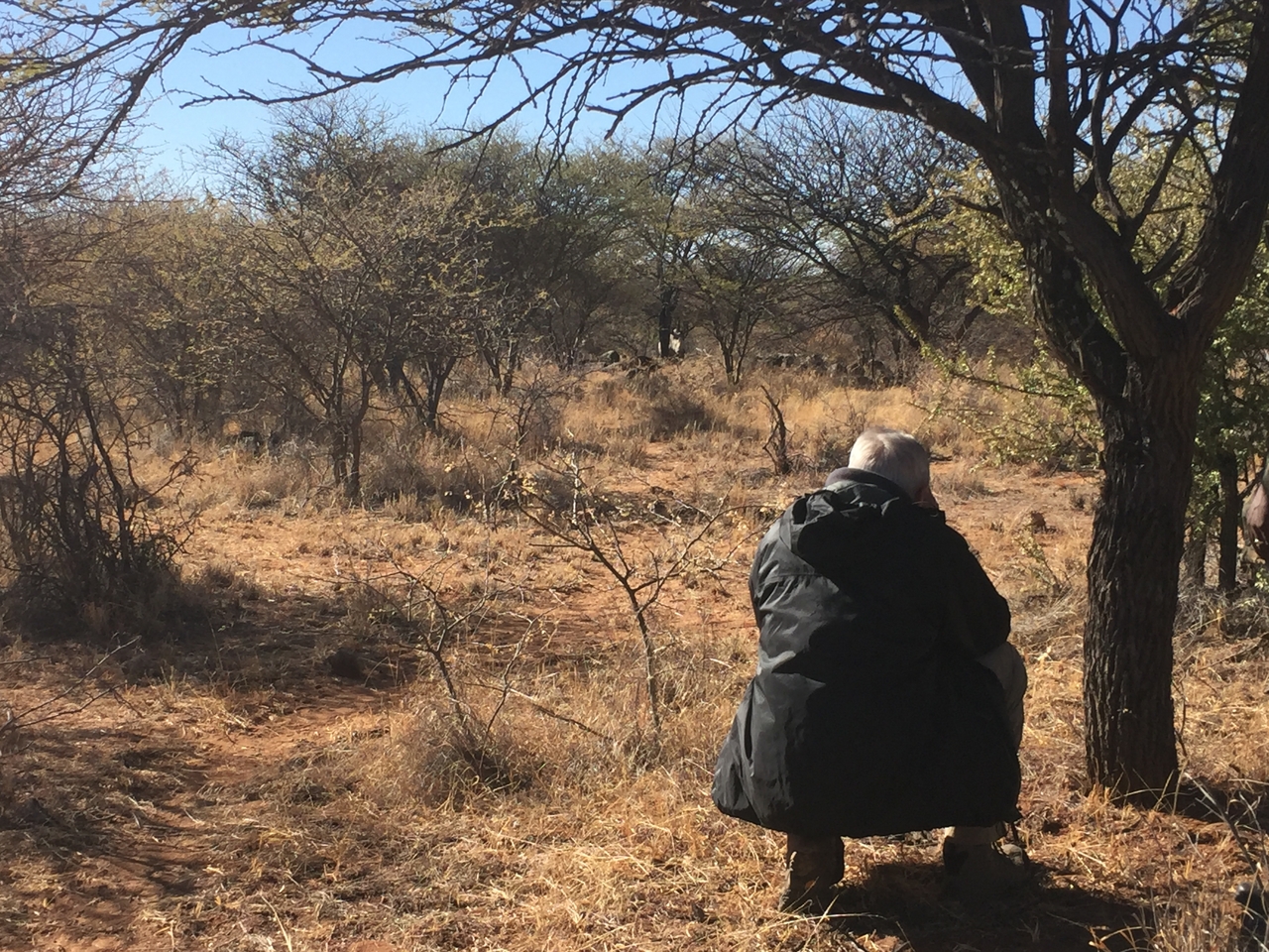 [5320] 2016_06_23_09_24_45_Africa_iPhone_6_IMG_7783_00370.jpg