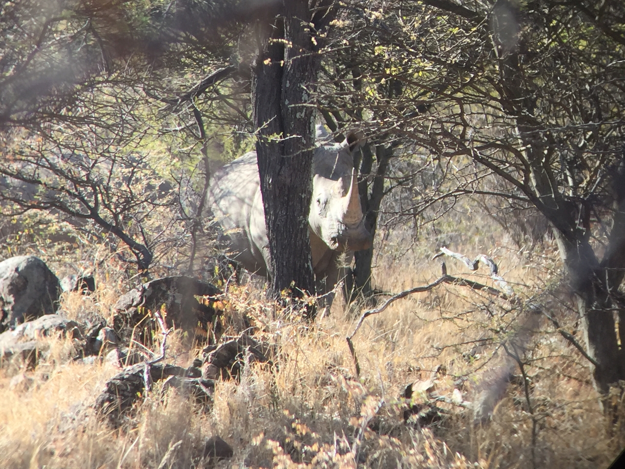 [5324] 2016_06_23_09_25_27_Africa_iPhone_6_IMG_7785_00372.jpg