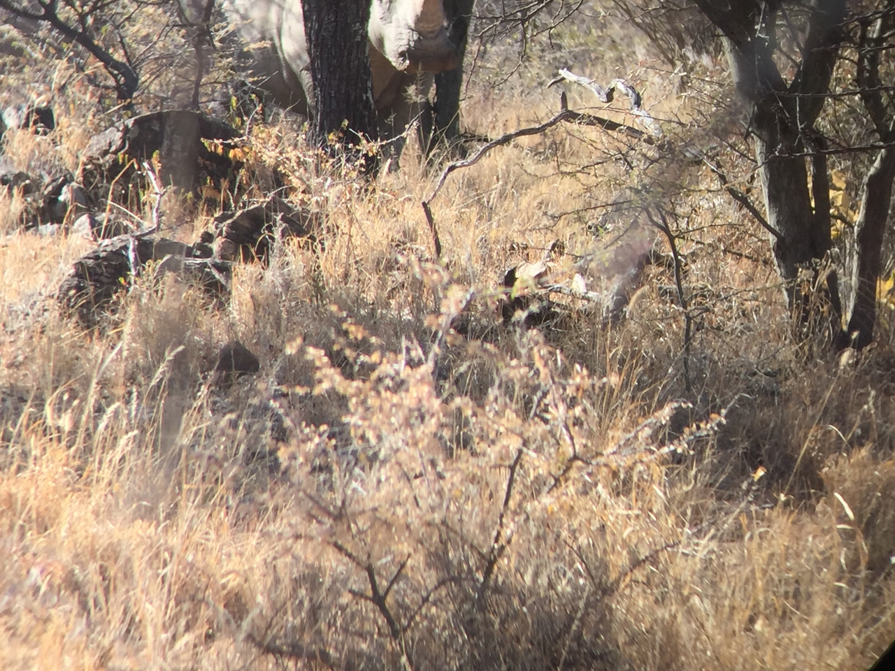 [5326] 2016_06_23_09_25_28_Africa_iPhone_6_IMG_7786_00373.jpg