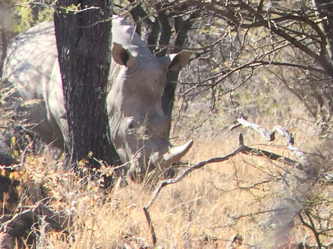 [5329] 2016_06_23_09_25_33_Africa_iPhone_6_IMG_7787_02715.jpg