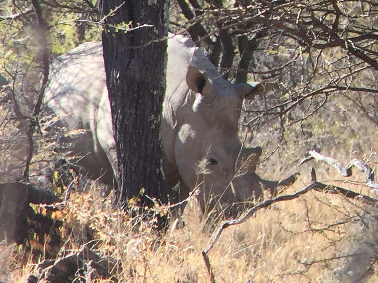 [5330] 2016_06_23_09_25_34_Africa_iPhone_6_IMG_7788_00375.jpg