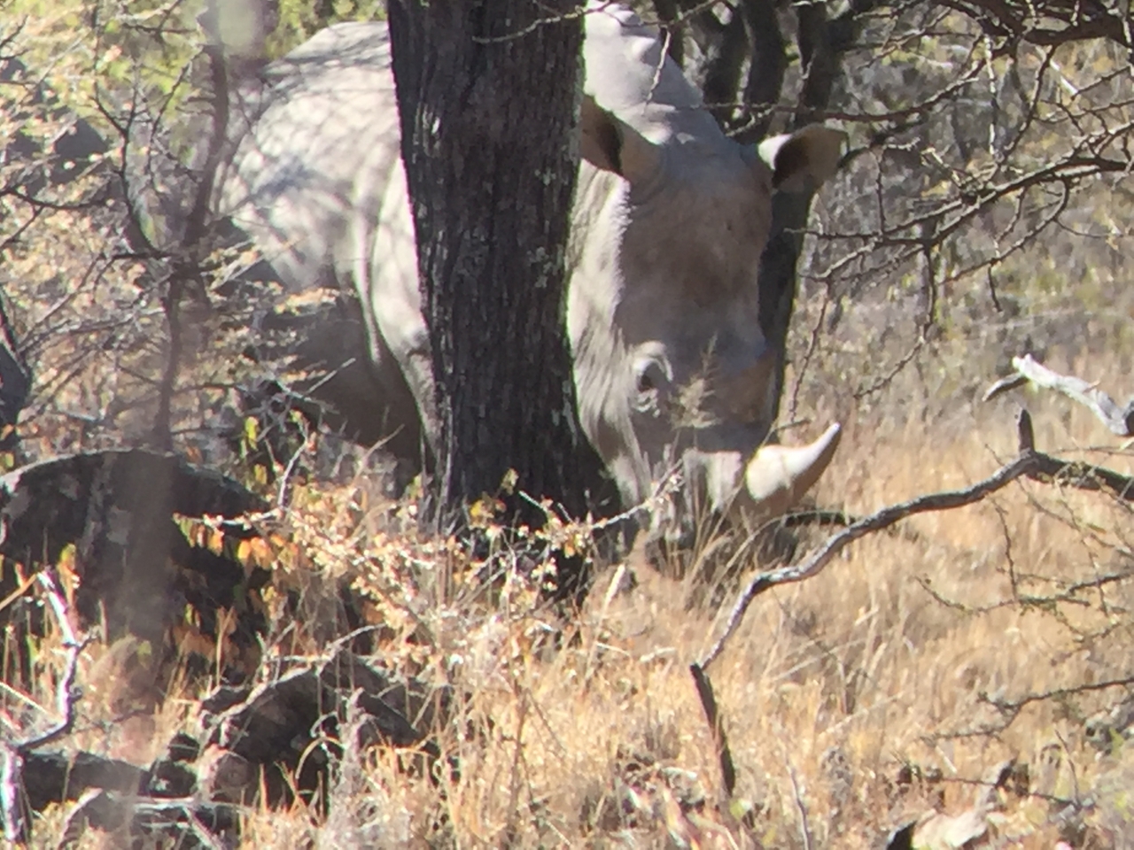 [5333] 2016_06_23_09_25_36_Africa_iPhone_6_IMG_7789_02717.jpg