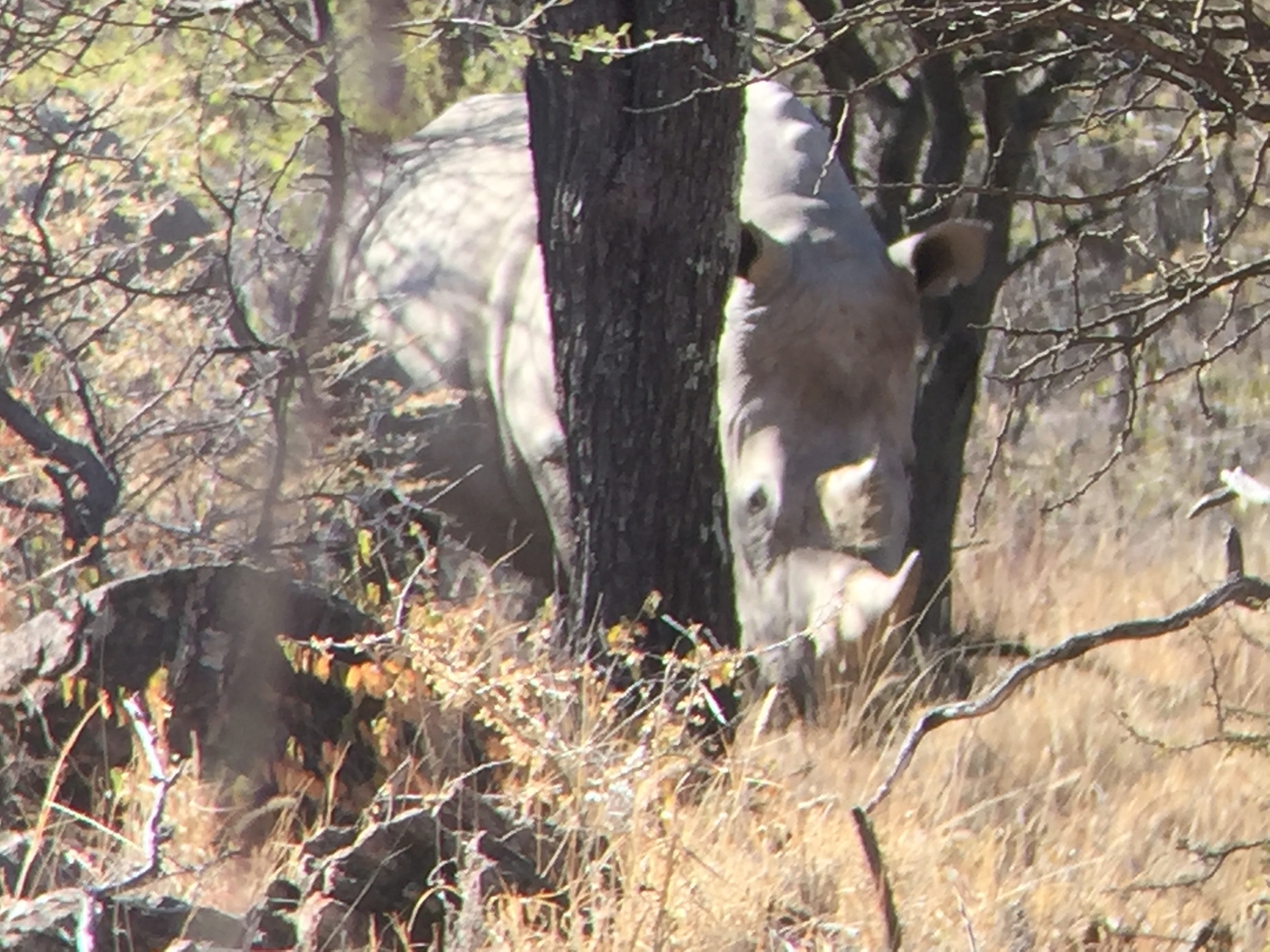 [5334] 2016_06_23_09_25_45_Africa_iPhone_6_IMG_7790_00377.jpg