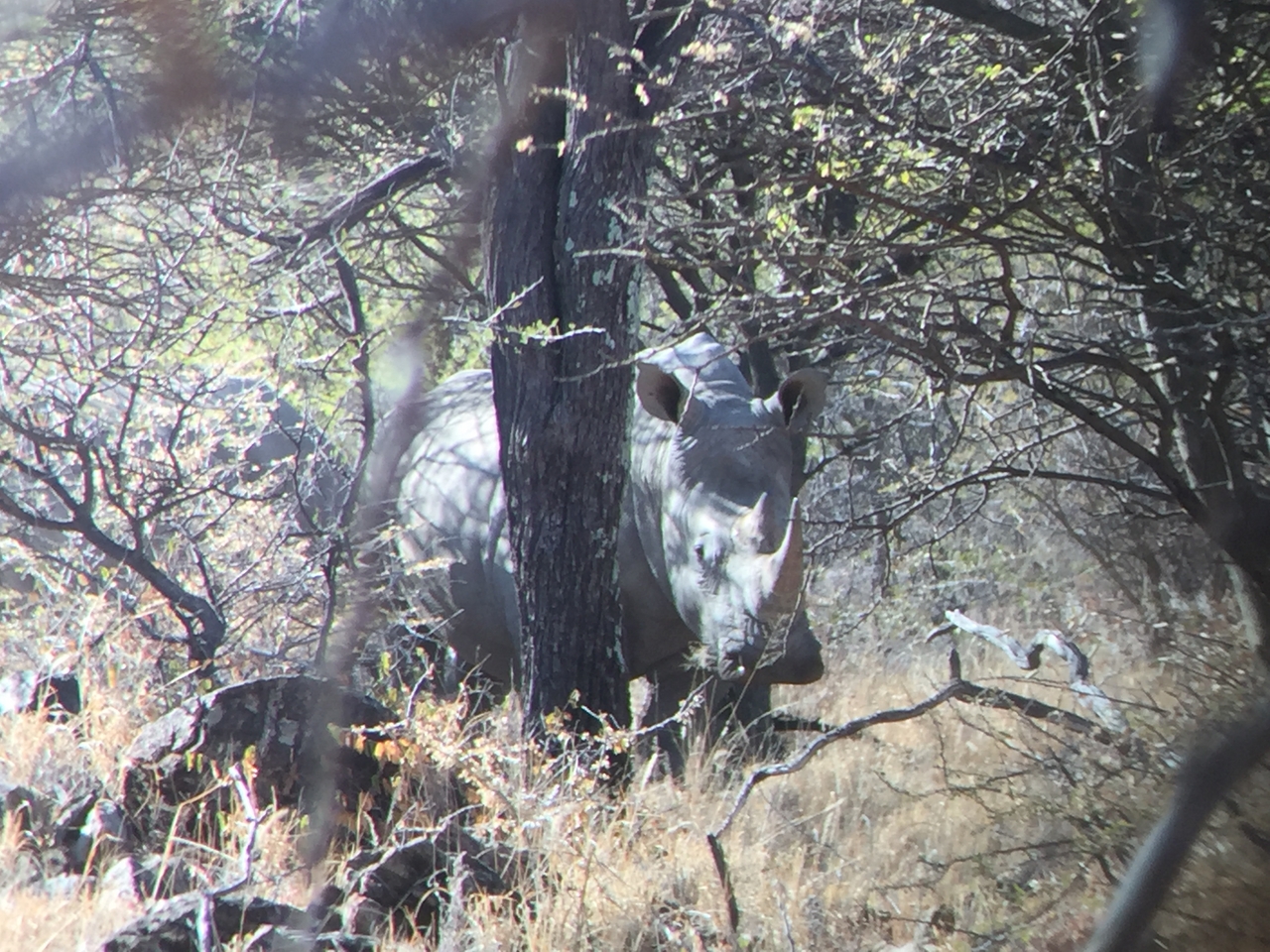 [5345] 2016_06_23_09_26_21_Africa_iPhone_6_IMG_7793_02721.jpg