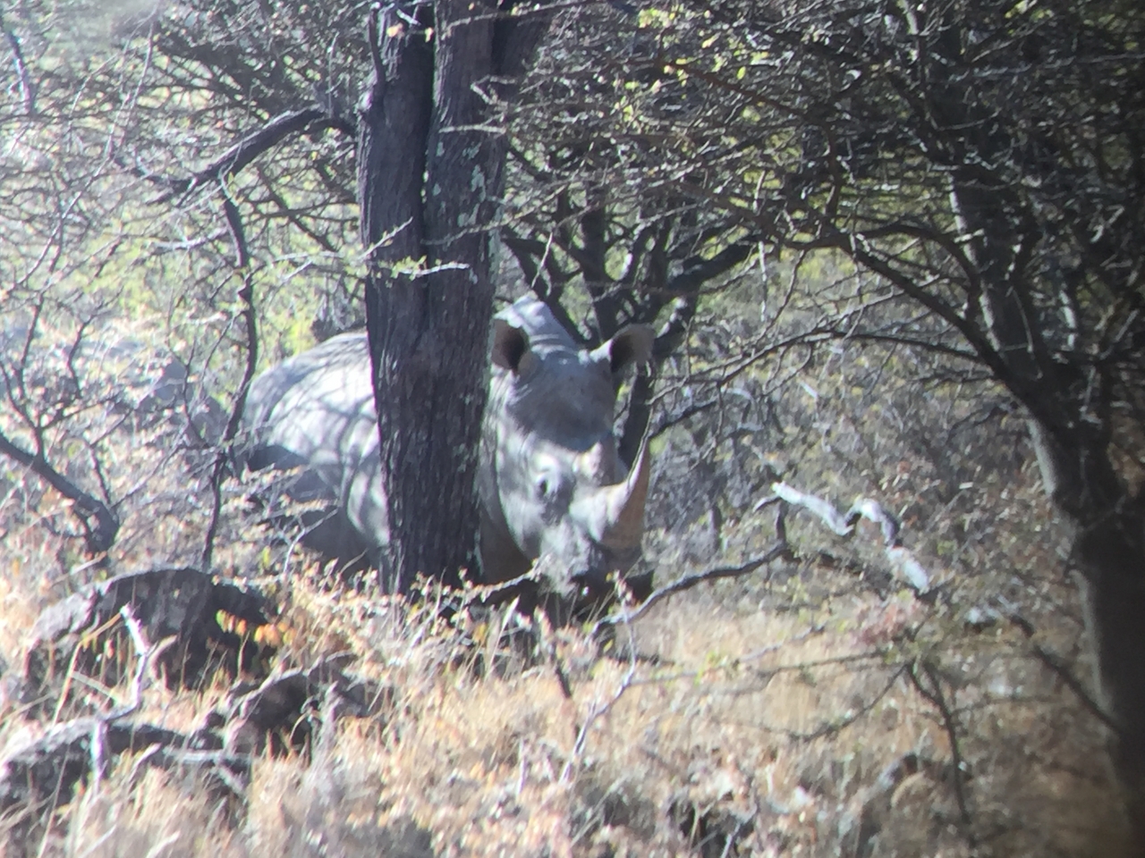 [5348] 2016_06_23_09_26_36_Africa_iPhone_6_IMG_7794_00381.jpg