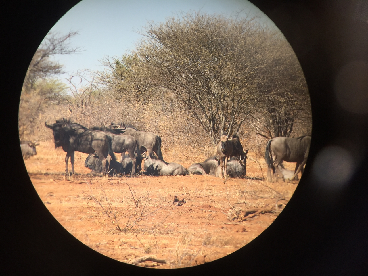 [5362] 2016_06_23_09_52_17_Africa_iPhone_6_IMG_7800_00387.jpg