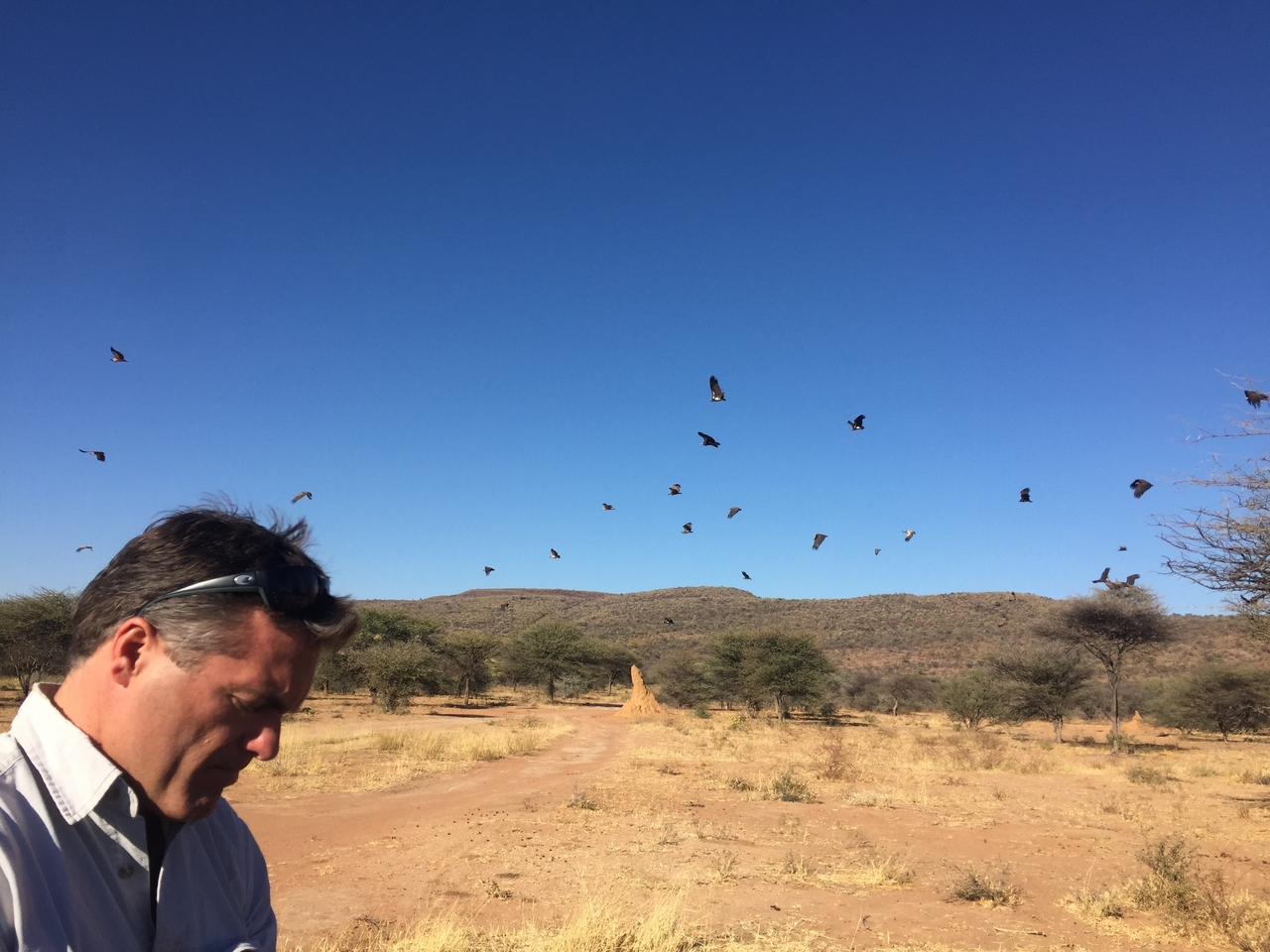 [9037] 2016_06_23_15_02_52_Africa_iPhone_6_IMG_7809_02736.jpg