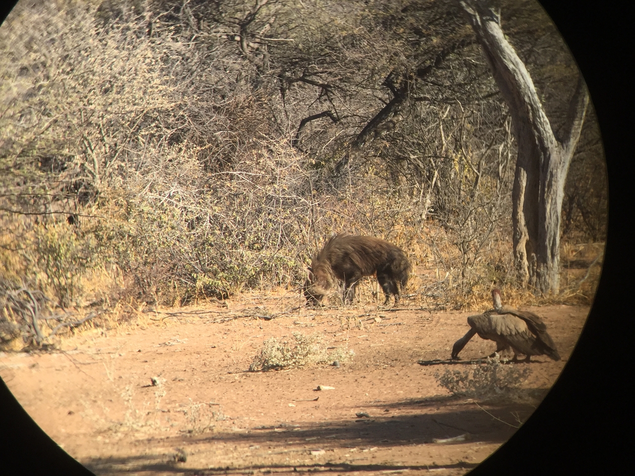 [9042] 2016_06_23_15_03_41_Africa_iPhone_6_IMG_7812_00398.jpg