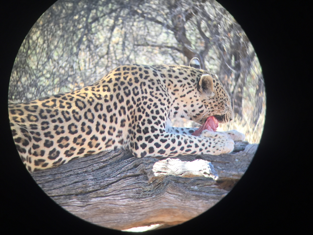 [9087] 2016_06_23_15_17_03_Africa_iPhone_6_IMG_7832_02759.jpg